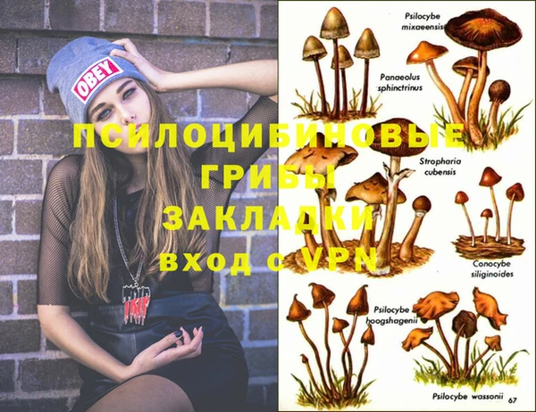 стафф Белоозёрский