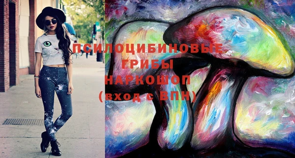 крисы Белокуриха