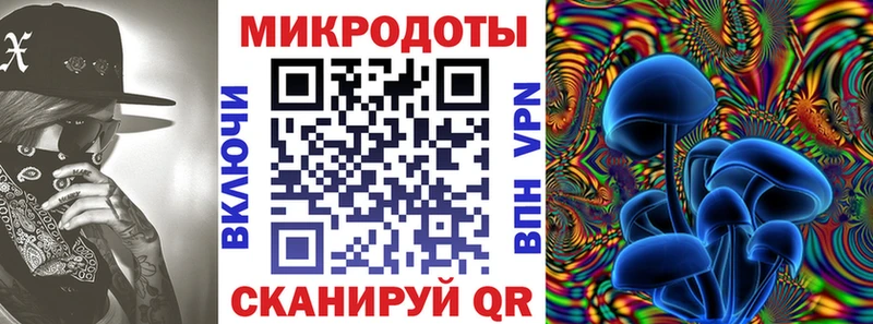 Псилоцибиновые грибы Cubensis  мега ТОР  Староминская 